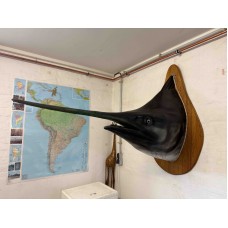 Marlin Mount
